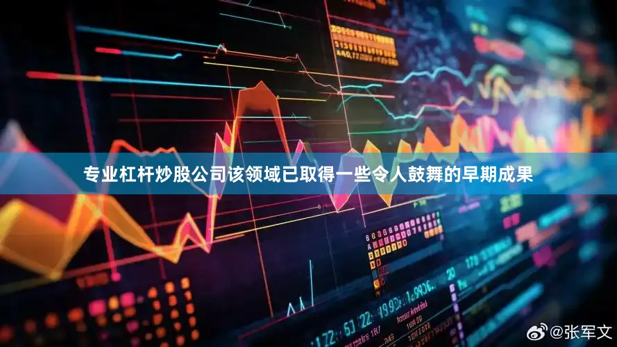 专业杠杆炒股公司该领域已取得一些令人鼓舞的早期成果