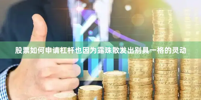 股票如何申请杠杆也因为露珠散发出别具一格的灵动
