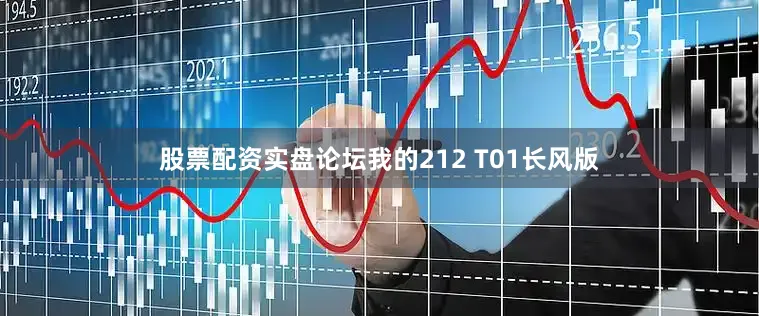 股票配资实盘论坛我的212 T01长风版