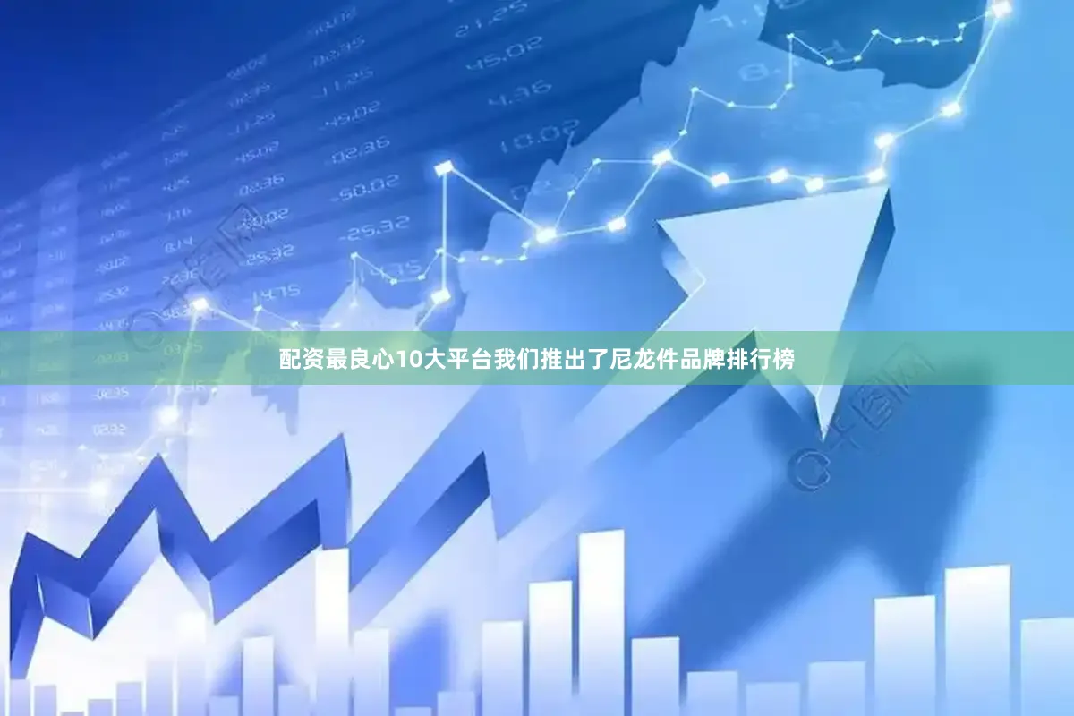 配资最良心10大平台我们推出了尼龙件品牌排行榜